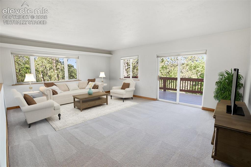 355 Maroon Lake Circle Divide CO 80814