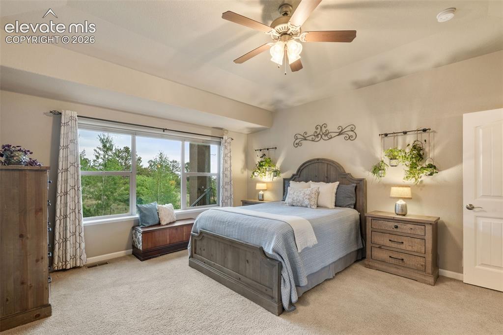 2835 Brogans Bluff Drive Colorado Springs CO 80919