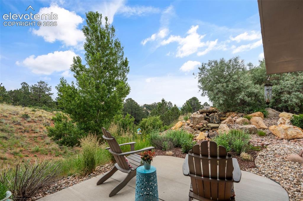 2835 Brogans Bluff Drive Colorado Springs CO 80919
