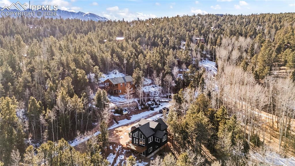 63 Iowa Lane Woodland Park CO 80863