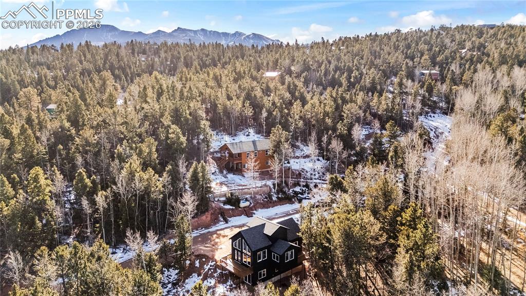 63 Iowa Lane Woodland Park CO 80863