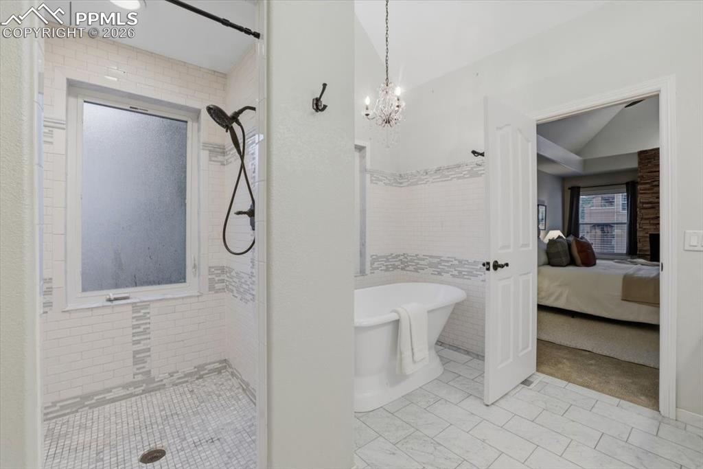 20305 True Vista Circle Monument CO 80132