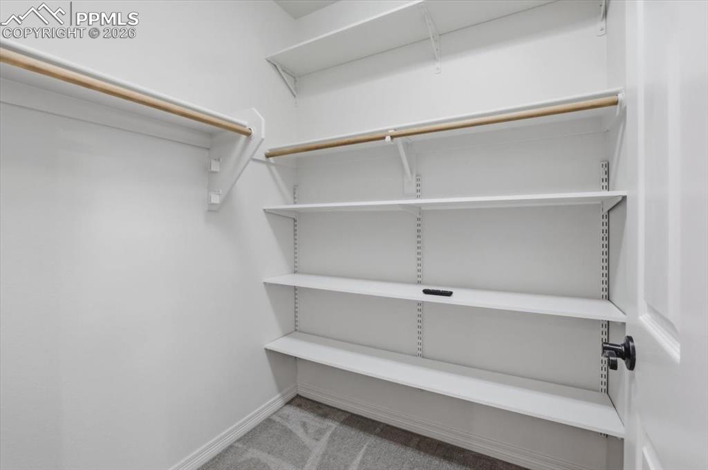 20305 True Vista Circle Monument CO 80132