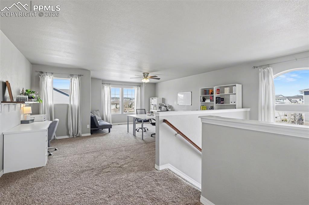 6251 Stonefly Drive Colorado Springs CO 80924