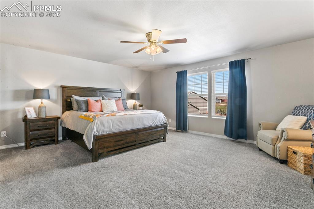 6251 Stonefly Drive Colorado Springs CO 80924