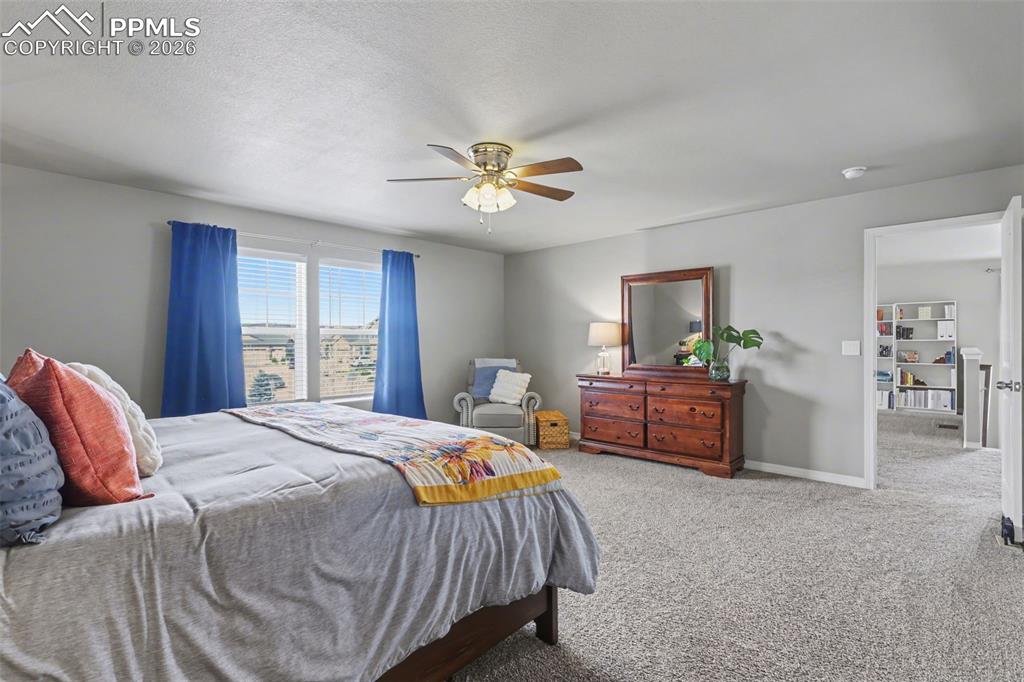 6251 Stonefly Drive Colorado Springs CO 80924