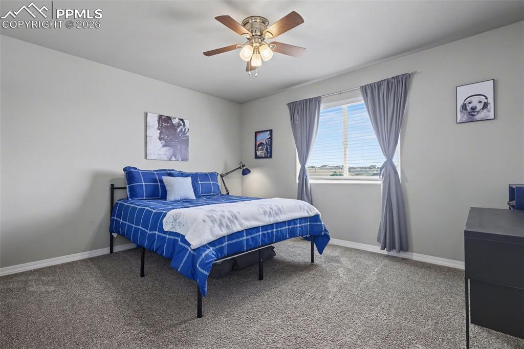 6251 Stonefly Drive Colorado Springs CO 80924