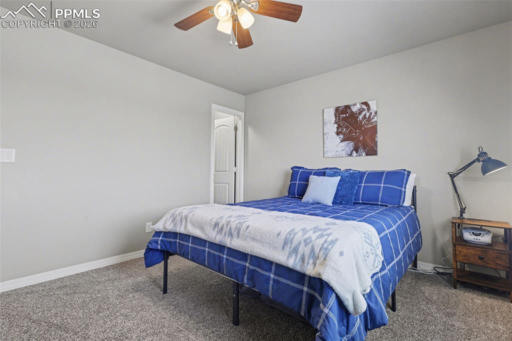 6251 Stonefly Drive Colorado Springs CO 80924