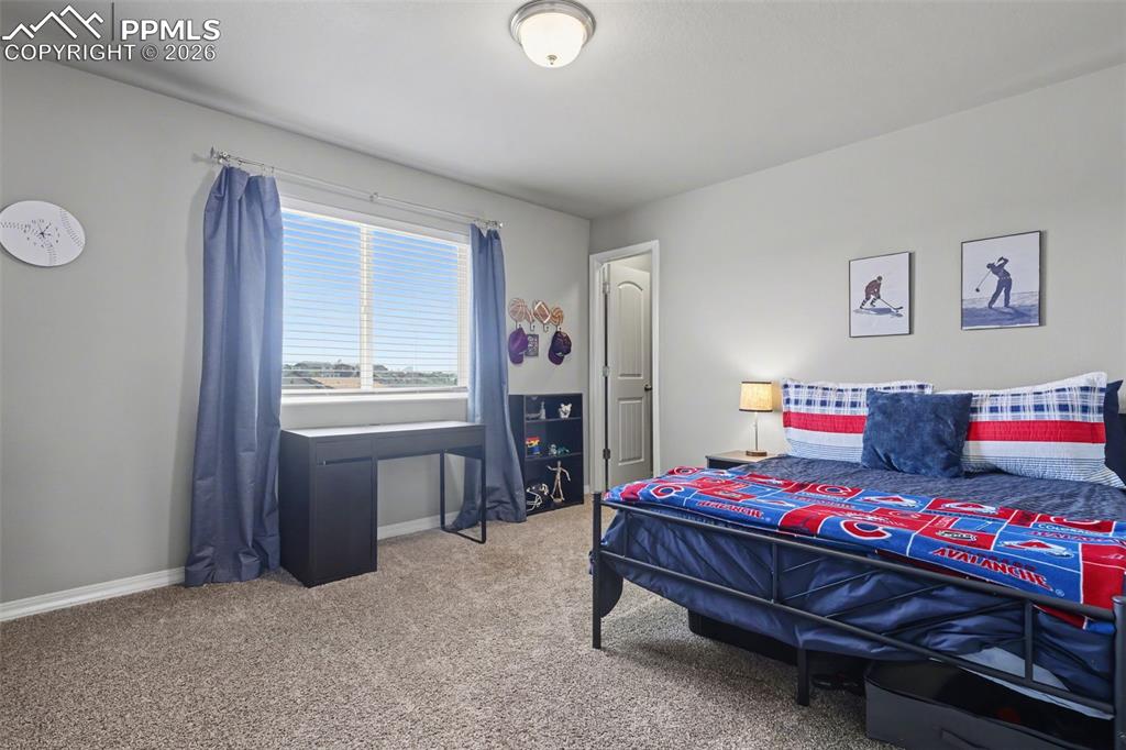 6251 Stonefly Drive Colorado Springs CO 80924