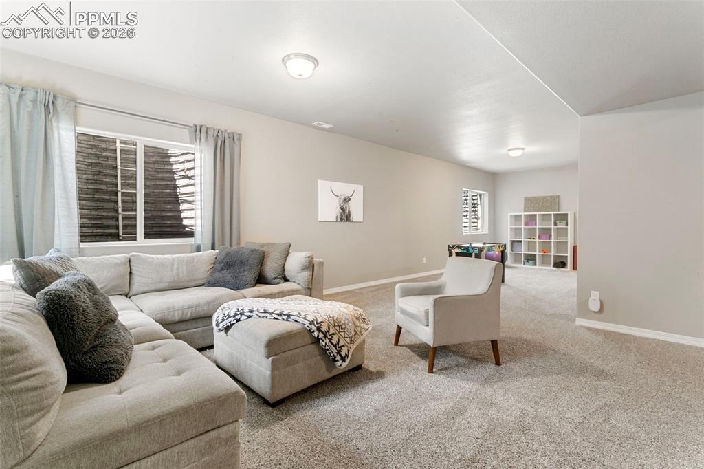 6251 Stonefly Drive Colorado Springs CO 80924