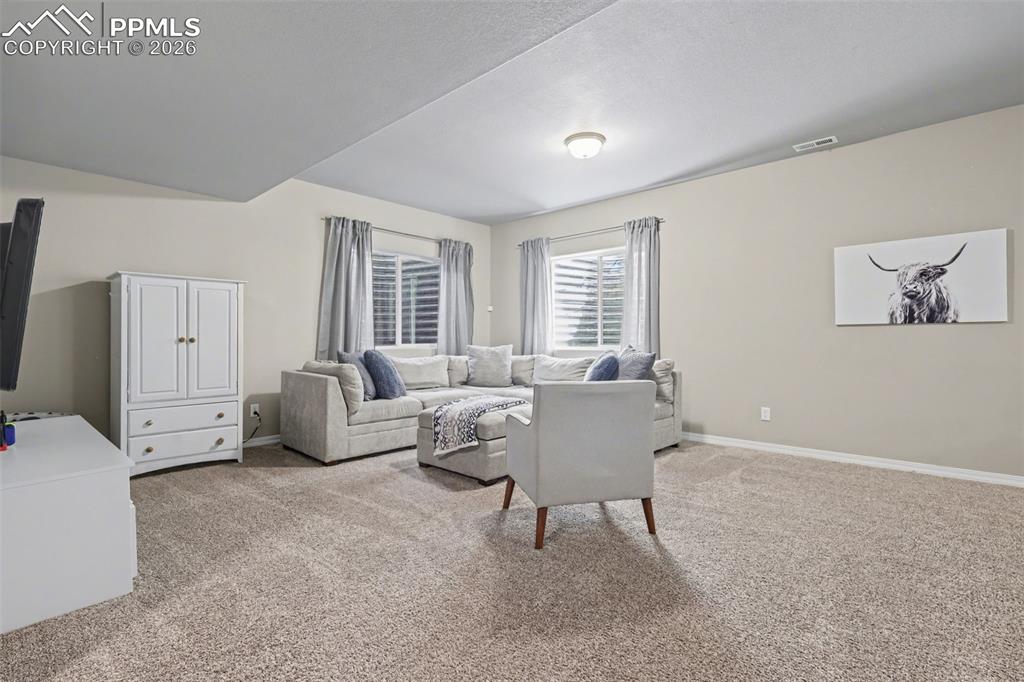 6251 Stonefly Drive Colorado Springs CO 80924