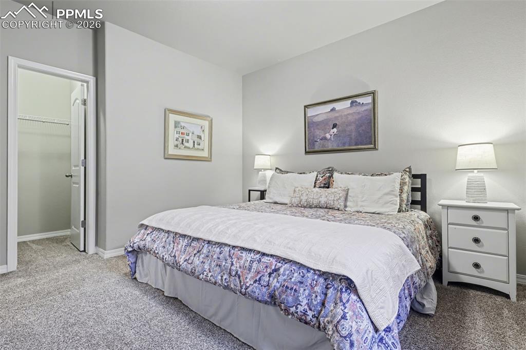 6251 Stonefly Drive Colorado Springs CO 80924