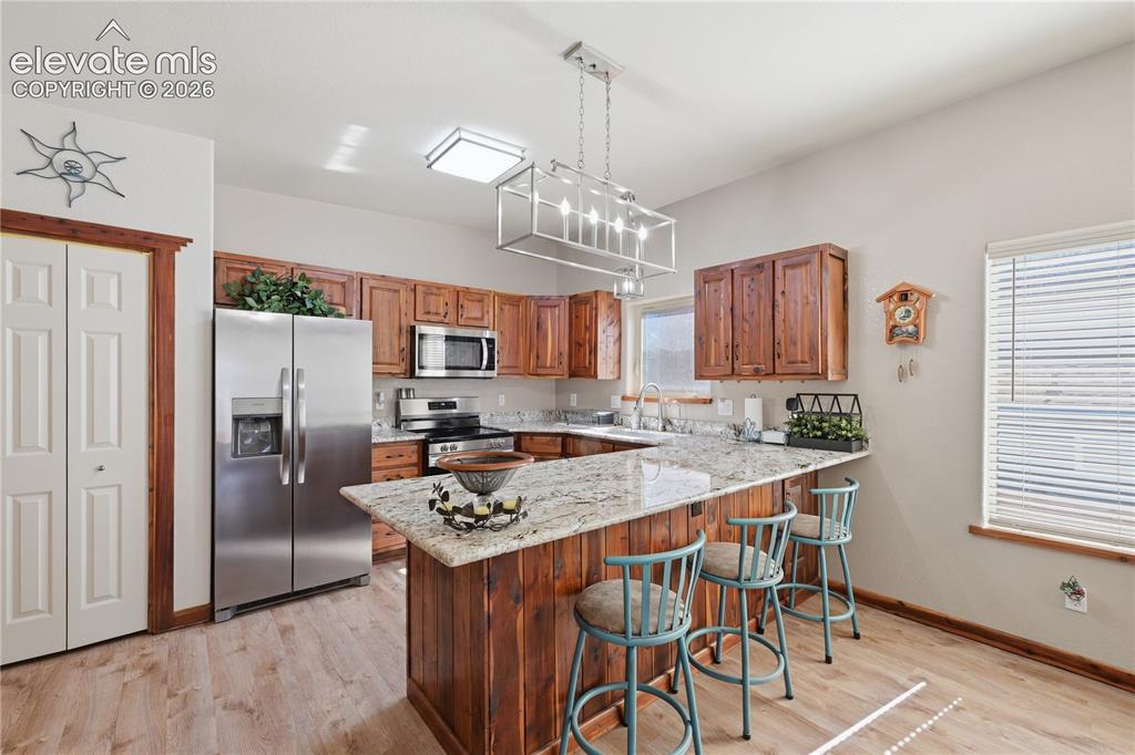 1113 Browning Avenue Woodland Park CO 80863