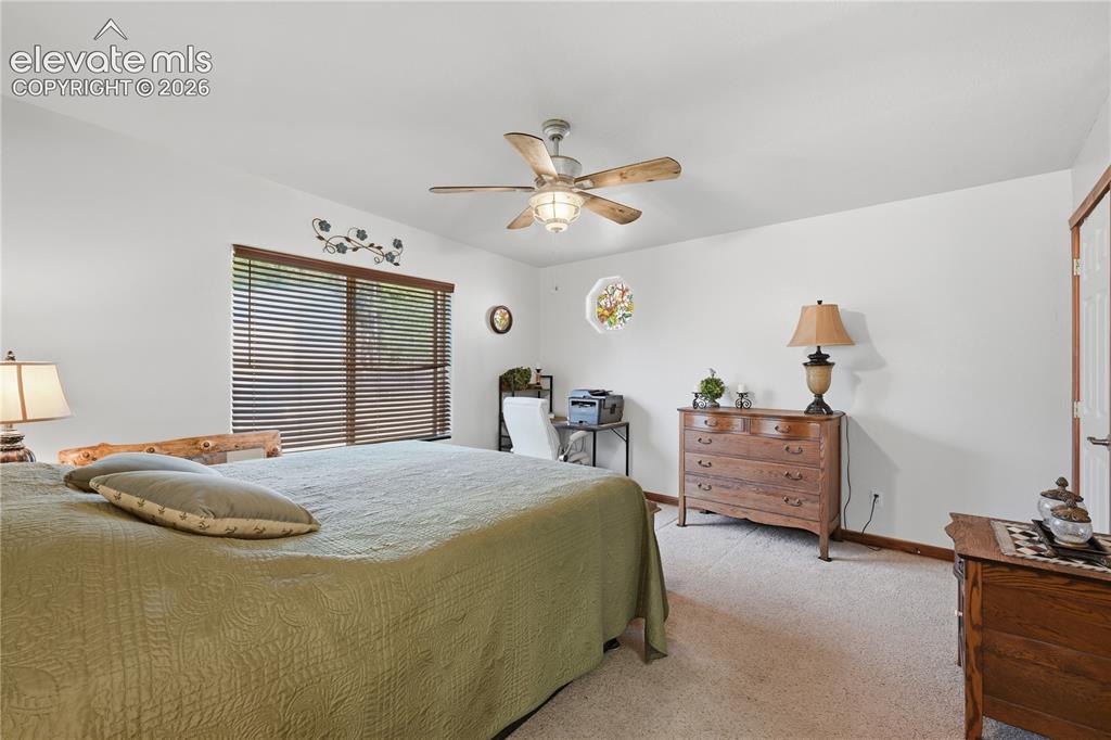 1113 Browning Avenue Woodland Park CO 80863