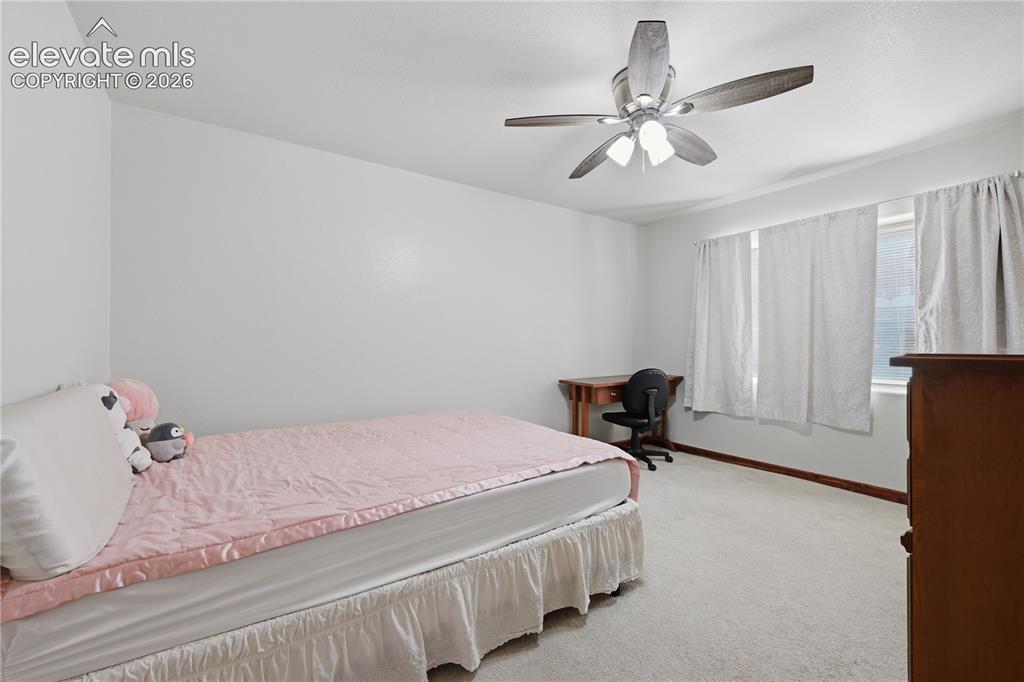 1113 Browning Avenue Woodland Park CO 80863