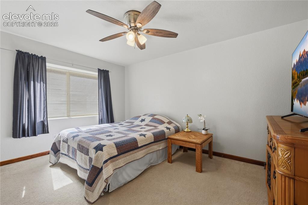 1113 Browning Avenue Woodland Park CO 80863