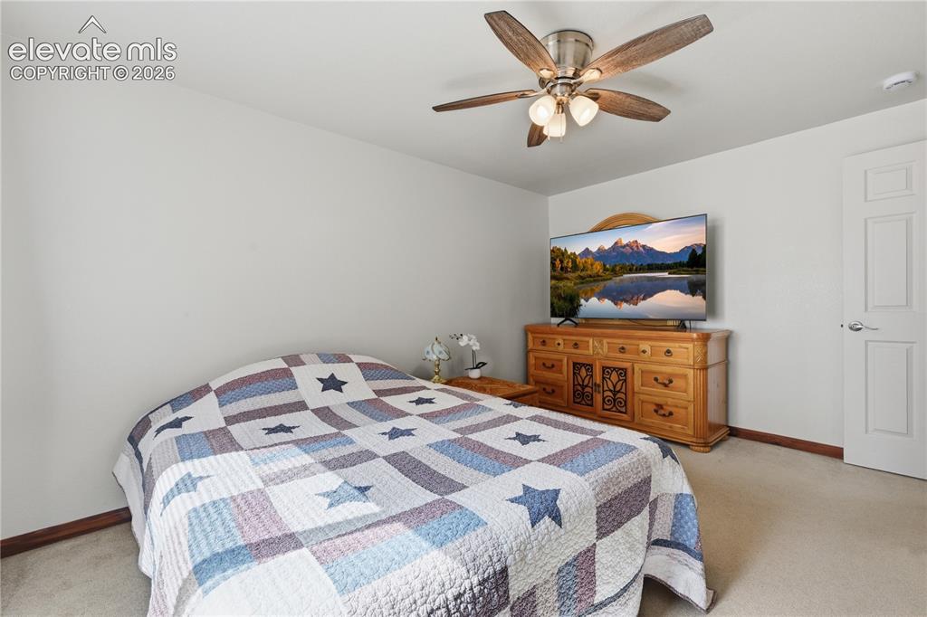 1113 Browning Avenue Woodland Park CO 80863