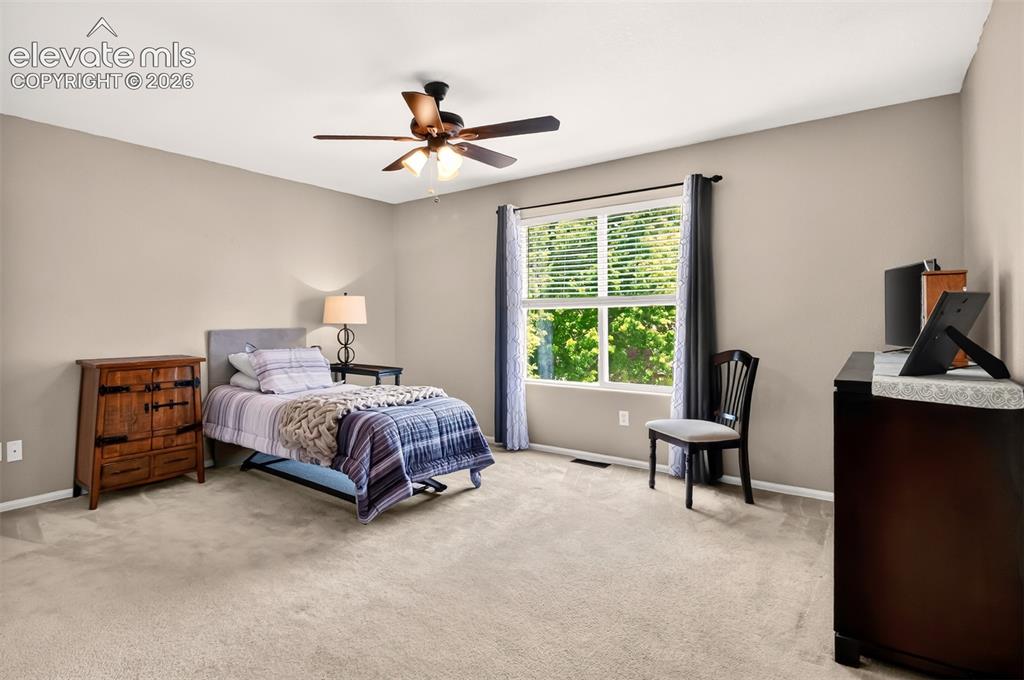 7005 Isle Bay Point Colorado Springs CO 80922