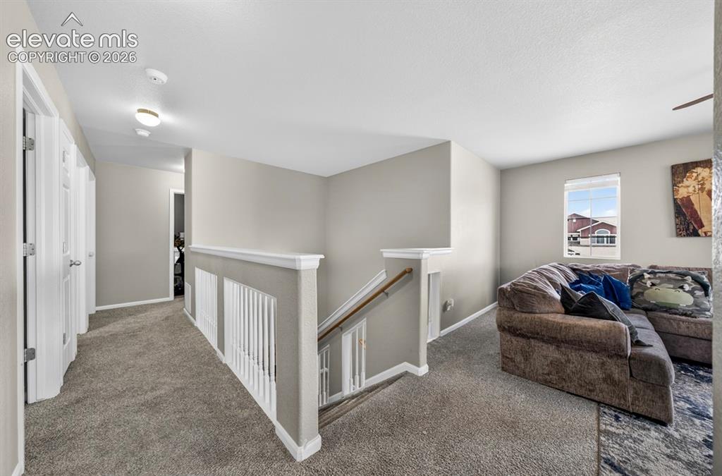 6390 Tranters Creek Way Colorado Springs CO 80925