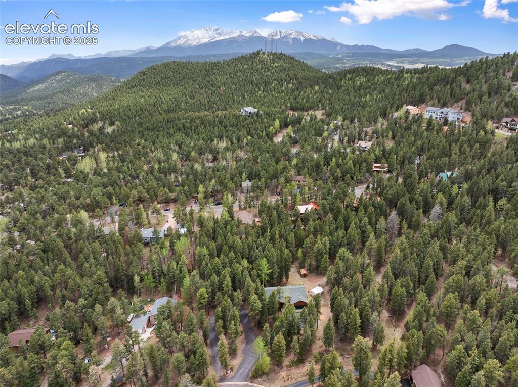 1233 Spruce Ridge Lane Woodland Park CO 80863