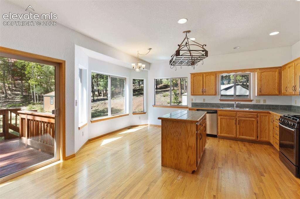 1233 Spruce Ridge Lane Woodland Park CO 80863
