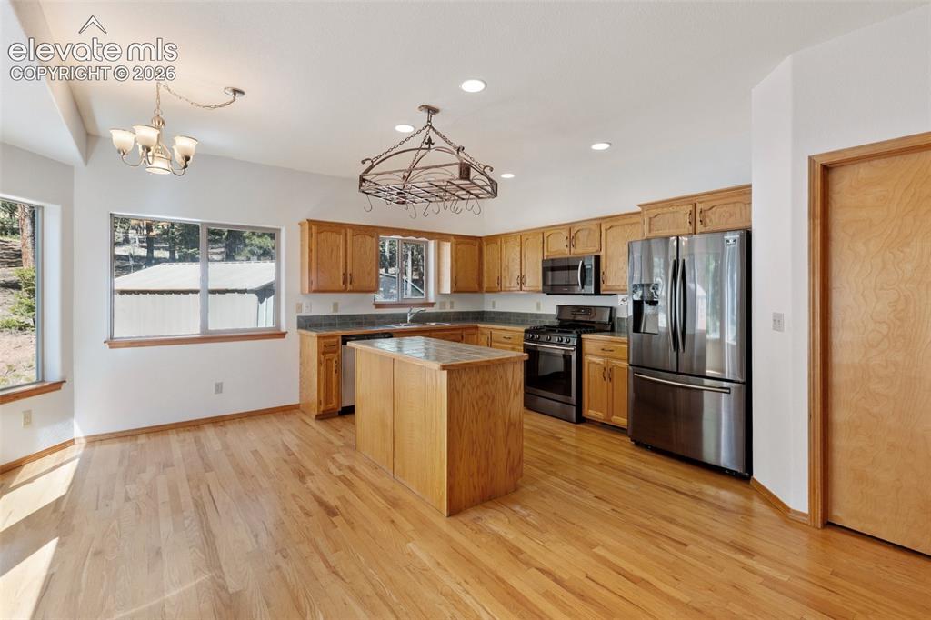 1233 Spruce Ridge Lane Woodland Park CO 80863