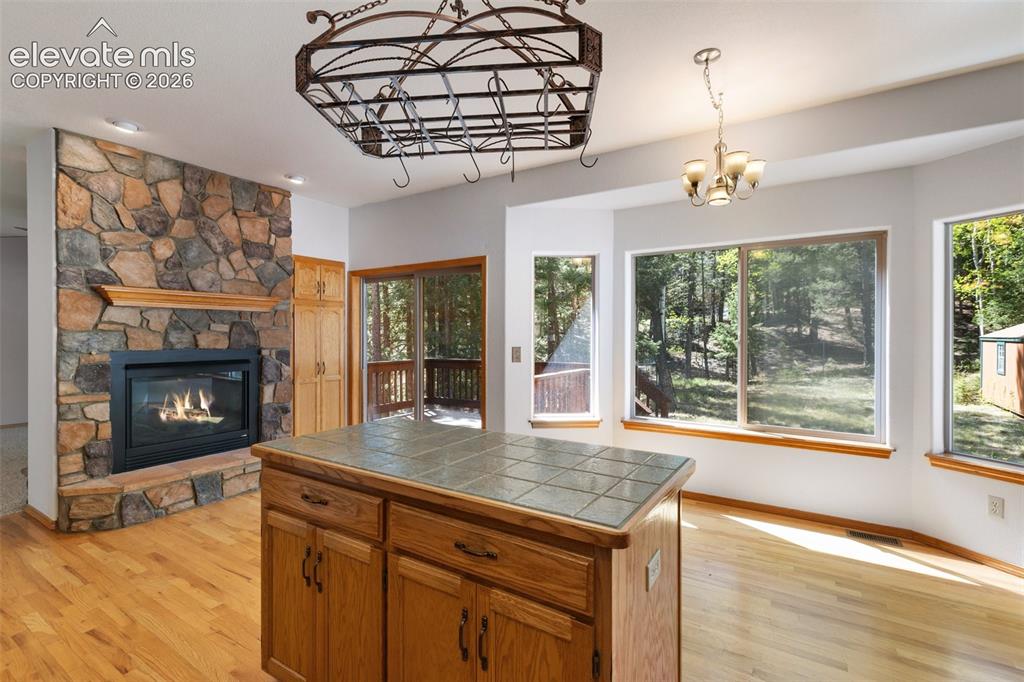 1233 Spruce Ridge Lane Woodland Park CO 80863