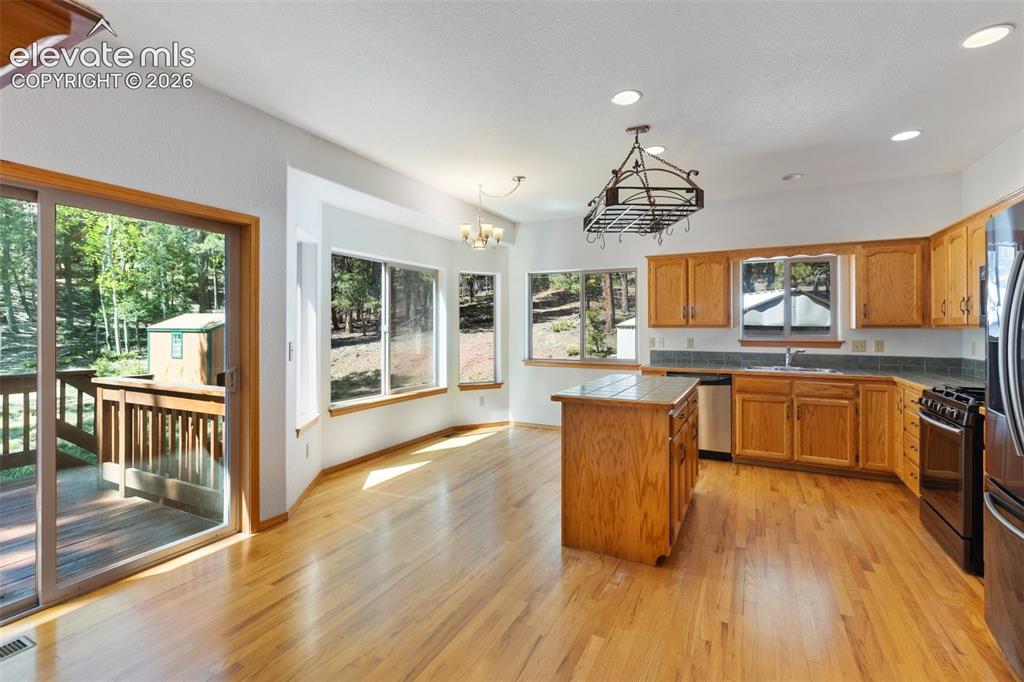 1233 Spruce Ridge Lane Woodland Park CO 80863
