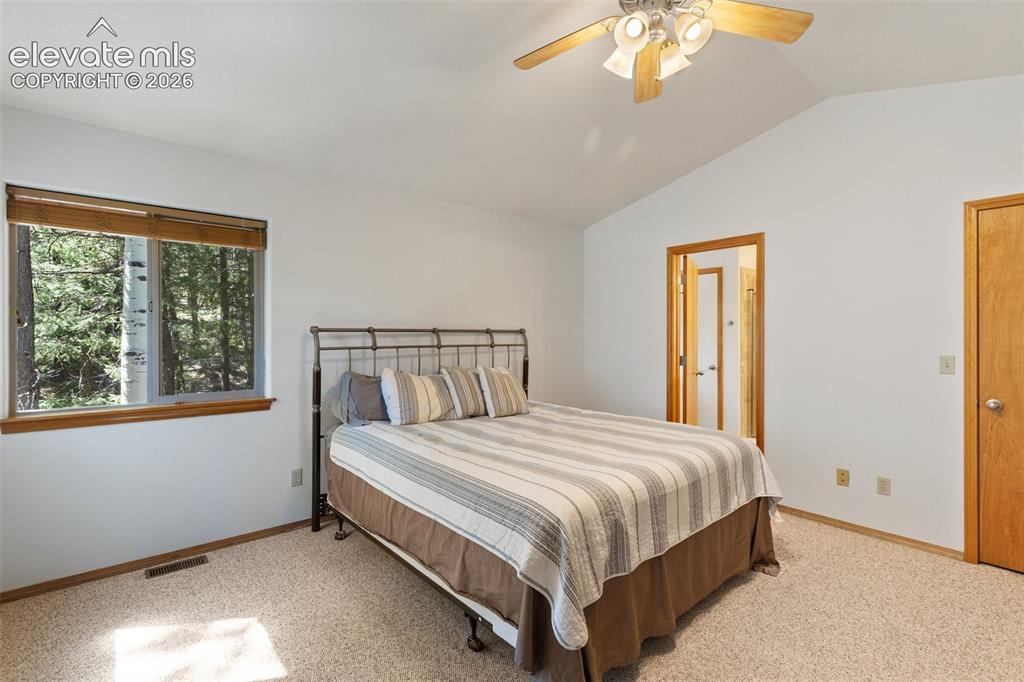 1233 Spruce Ridge Lane Woodland Park CO 80863