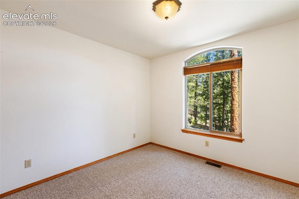 1233 Spruce Ridge Lane Woodland Park CO 80863