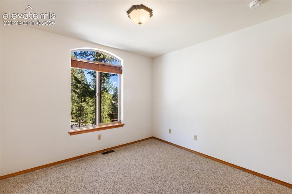 1233 Spruce Ridge Lane Woodland Park CO 80863
