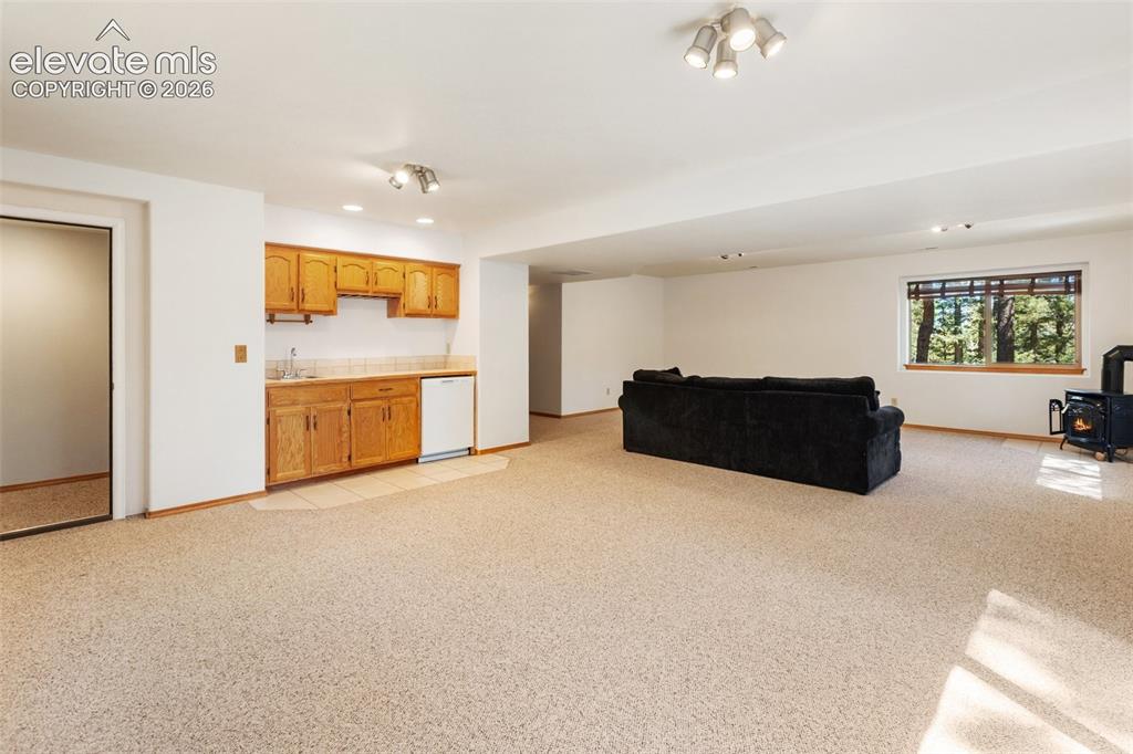 1233 Spruce Ridge Lane Woodland Park CO 80863