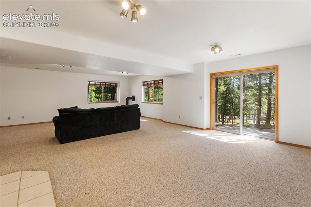 1233 Spruce Ridge Lane Woodland Park CO 80863