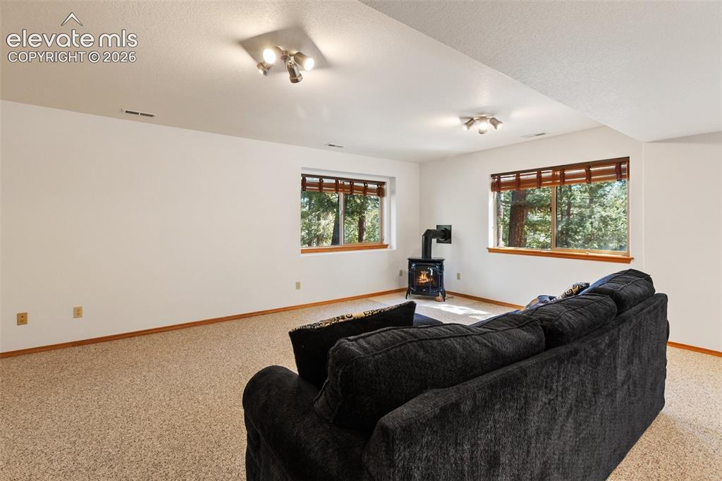 1233 Spruce Ridge Lane Woodland Park CO 80863