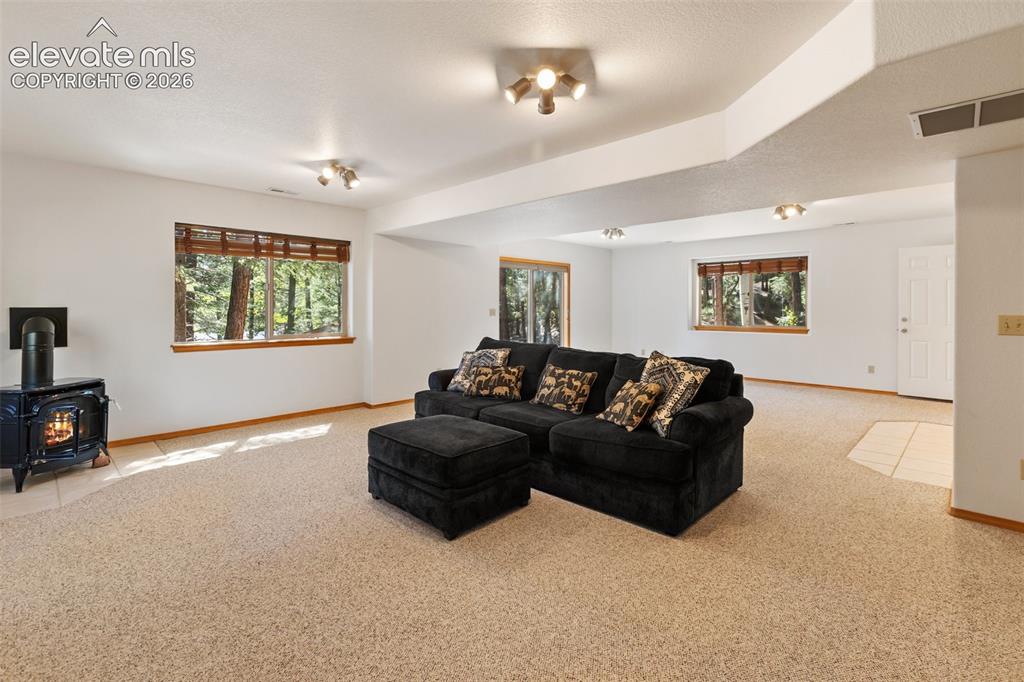 1233 Spruce Ridge Lane Woodland Park CO 80863