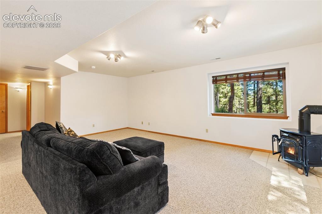 1233 Spruce Ridge Lane Woodland Park CO 80863