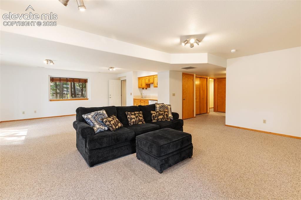 1233 Spruce Ridge Lane Woodland Park CO 80863