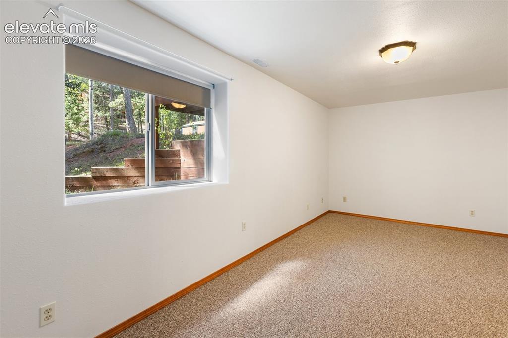 1233 Spruce Ridge Lane Woodland Park CO 80863