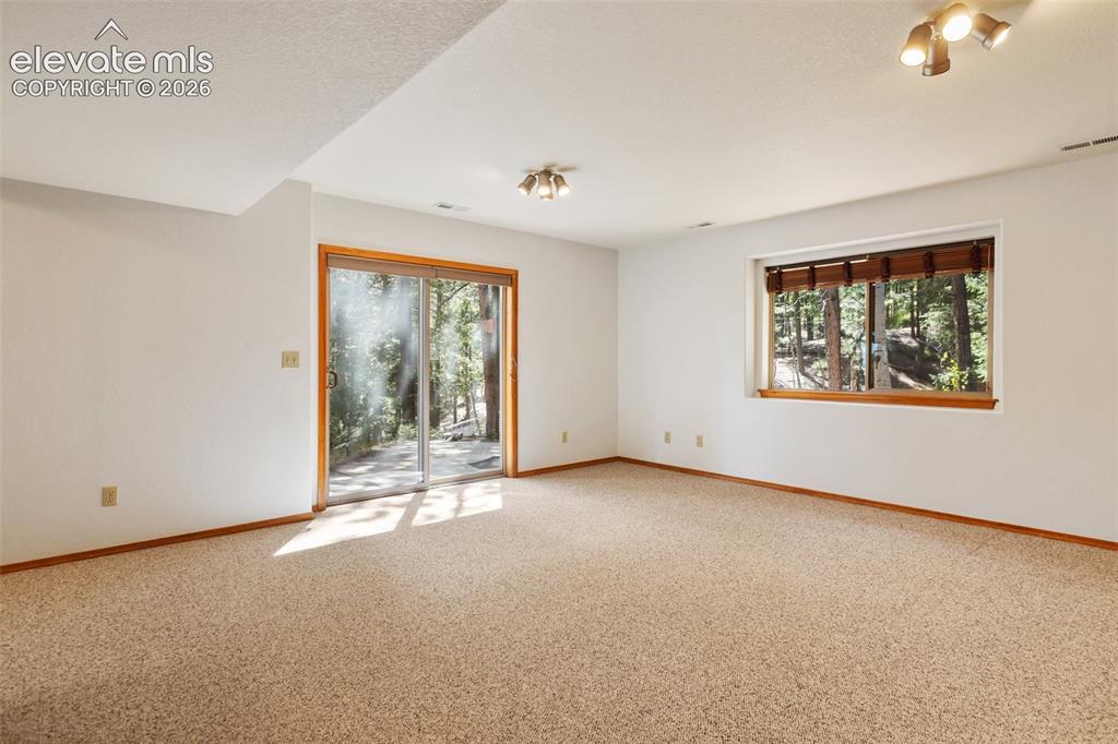 1233 Spruce Ridge Lane Woodland Park CO 80863
