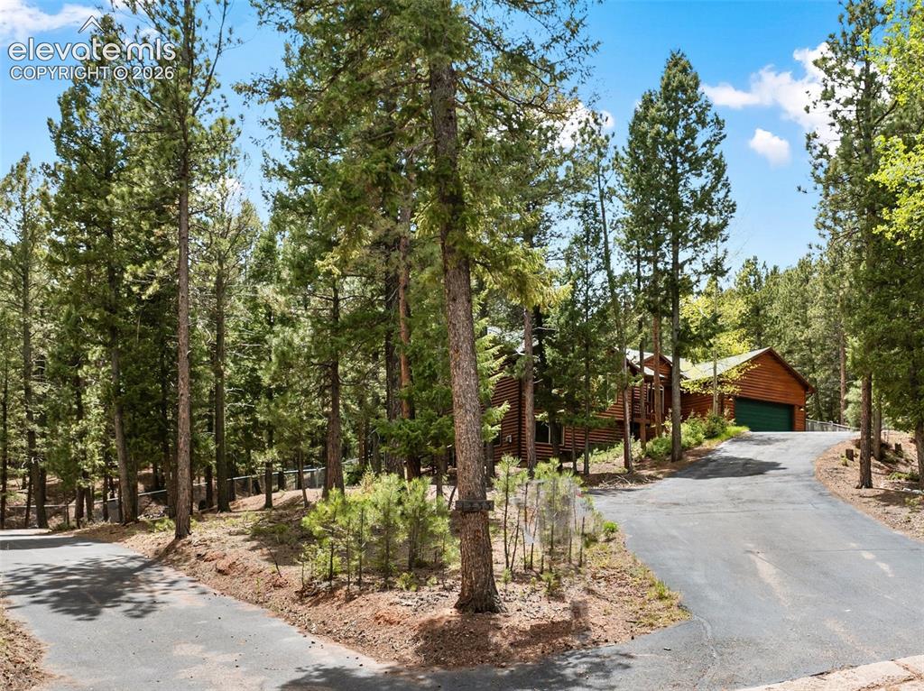 1233 Spruce Ridge Lane Woodland Park CO 80863