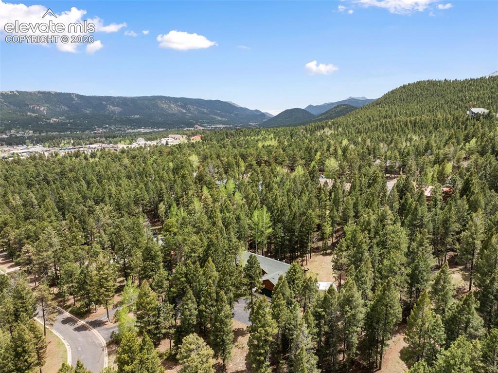 1233 Spruce Ridge Lane Woodland Park CO 80863