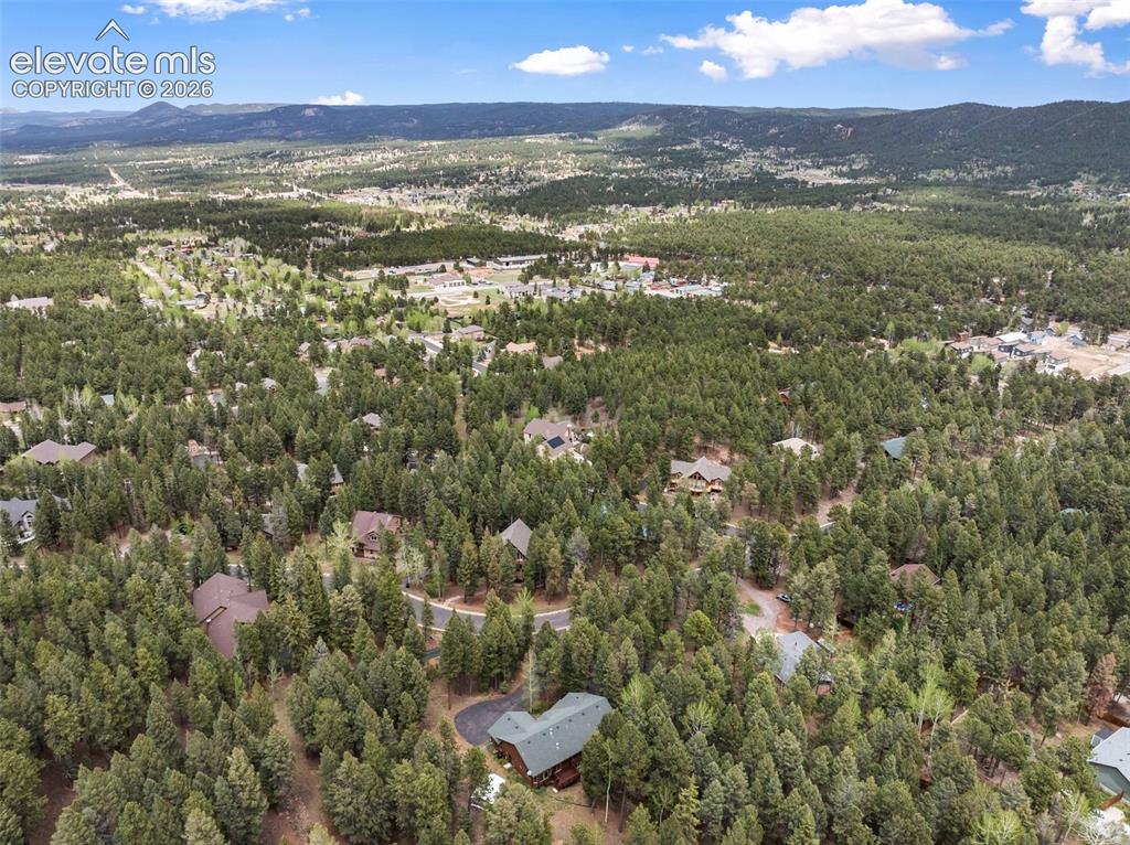 1233 Spruce Ridge Lane Woodland Park CO 80863