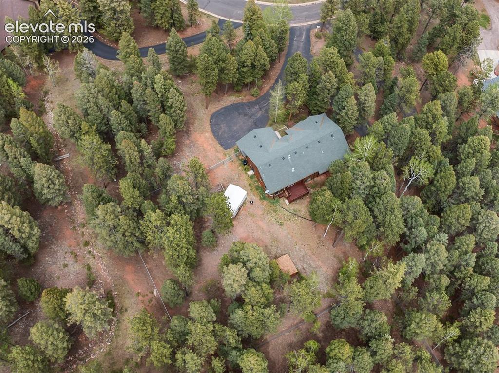 1233 Spruce Ridge Lane Woodland Park CO 80863