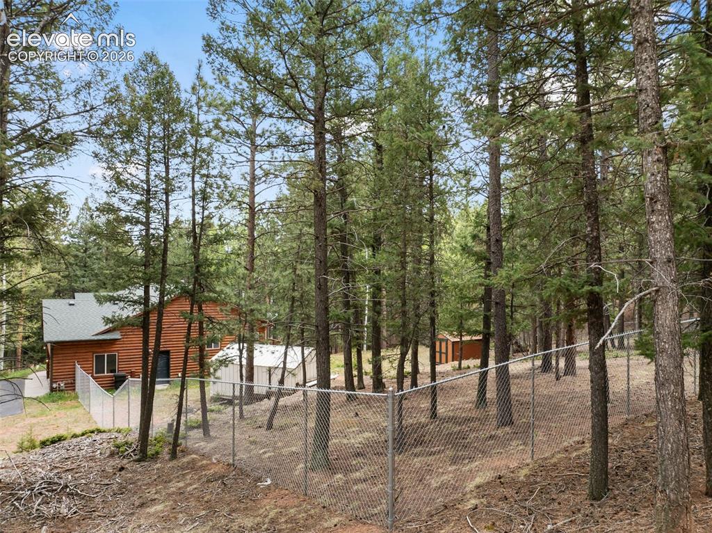 1233 Spruce Ridge Lane Woodland Park CO 80863