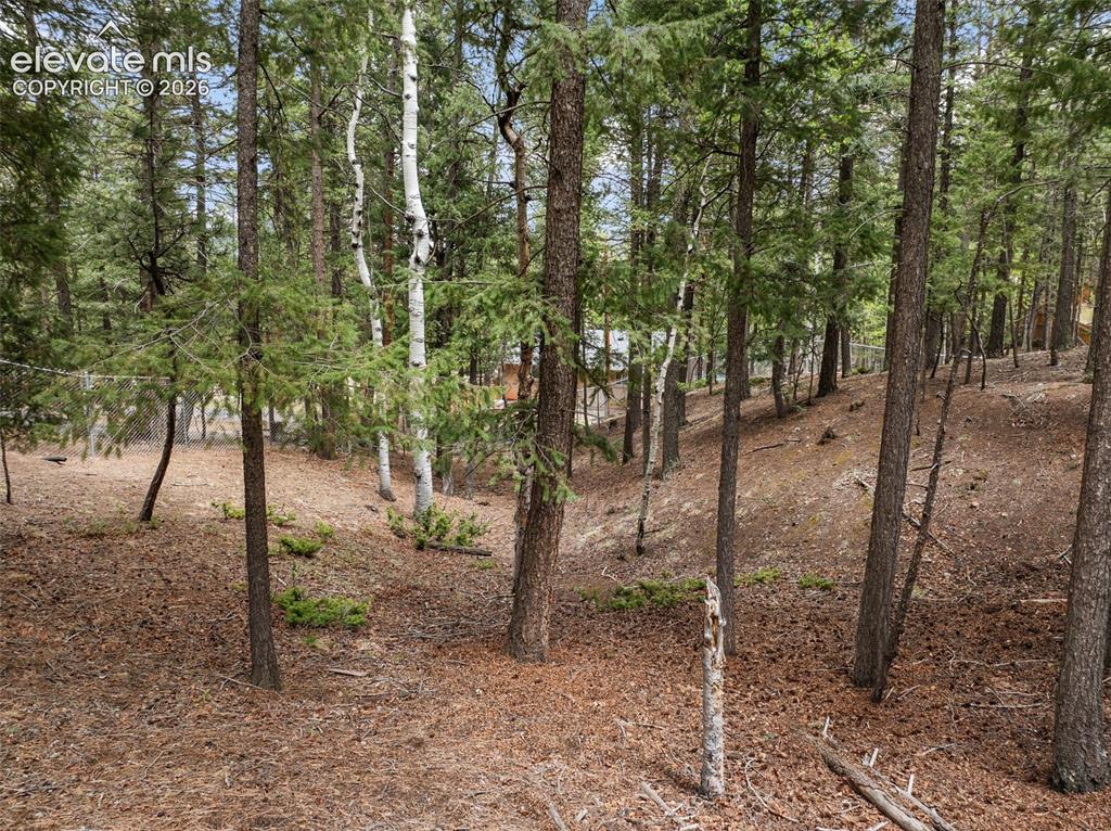 1233 Spruce Ridge Lane Woodland Park CO 80863