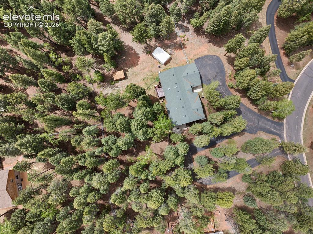 1233 Spruce Ridge Lane Woodland Park CO 80863