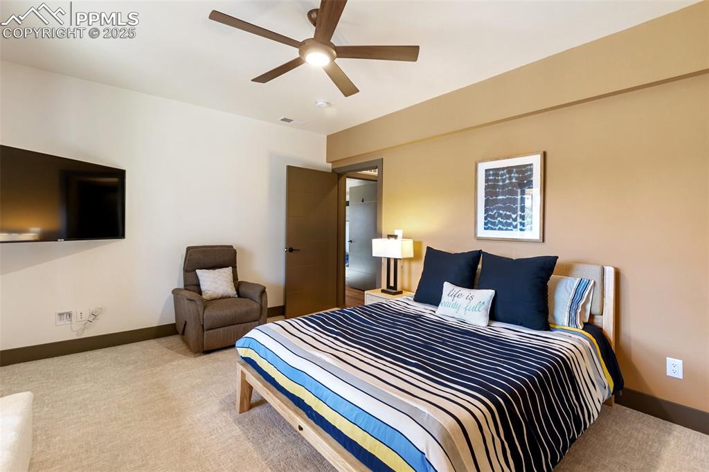 449 Oxford Lane Woodland Park CO 80863
