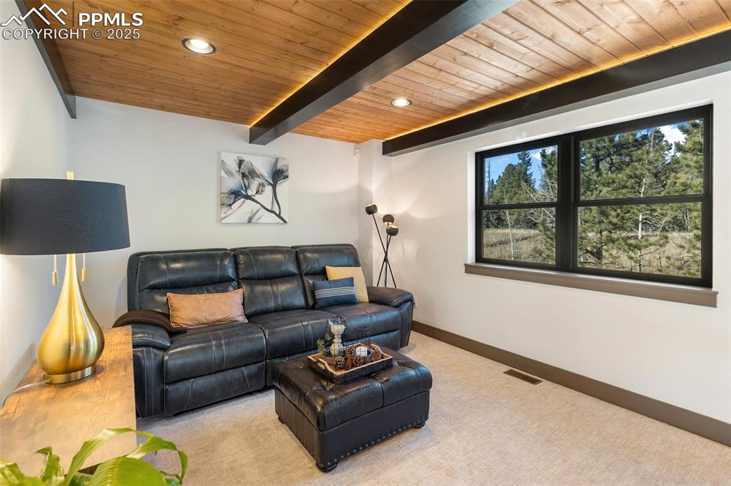449 Oxford Lane Woodland Park CO 80863