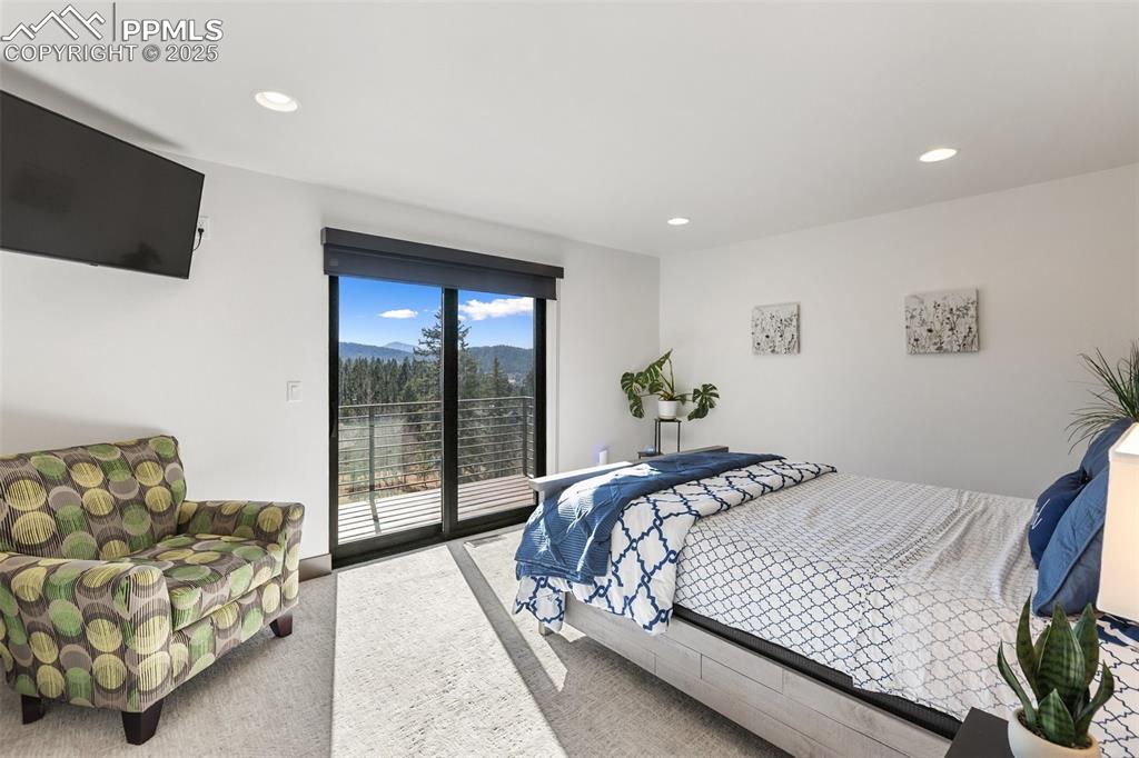 449 Oxford Lane Woodland Park CO 80863