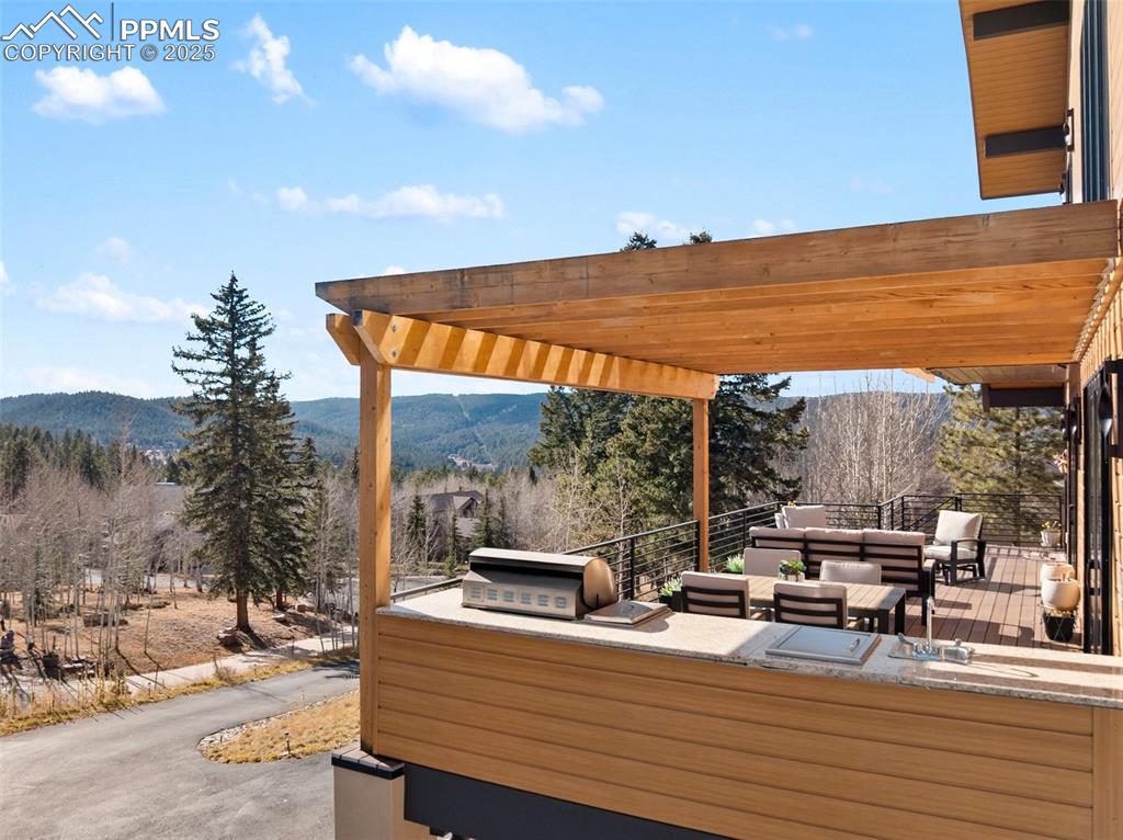 449 Oxford Lane Woodland Park CO 80863
